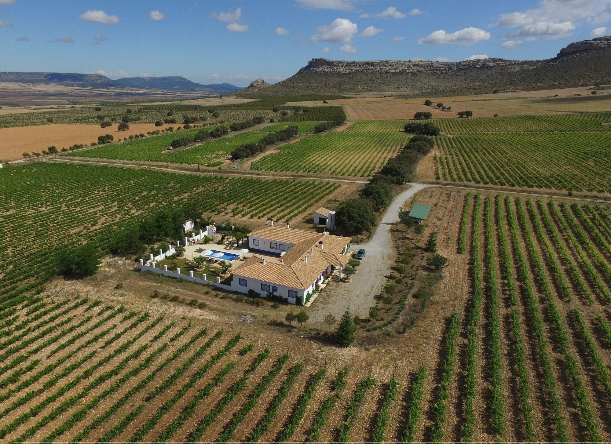 Finca El Romeral Alpera Extérieur photo