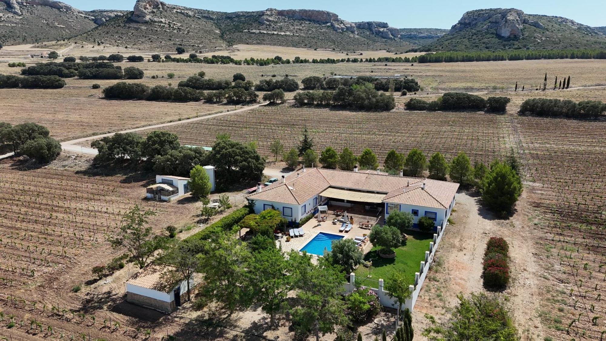 Finca El Romeral Alpera Extérieur photo