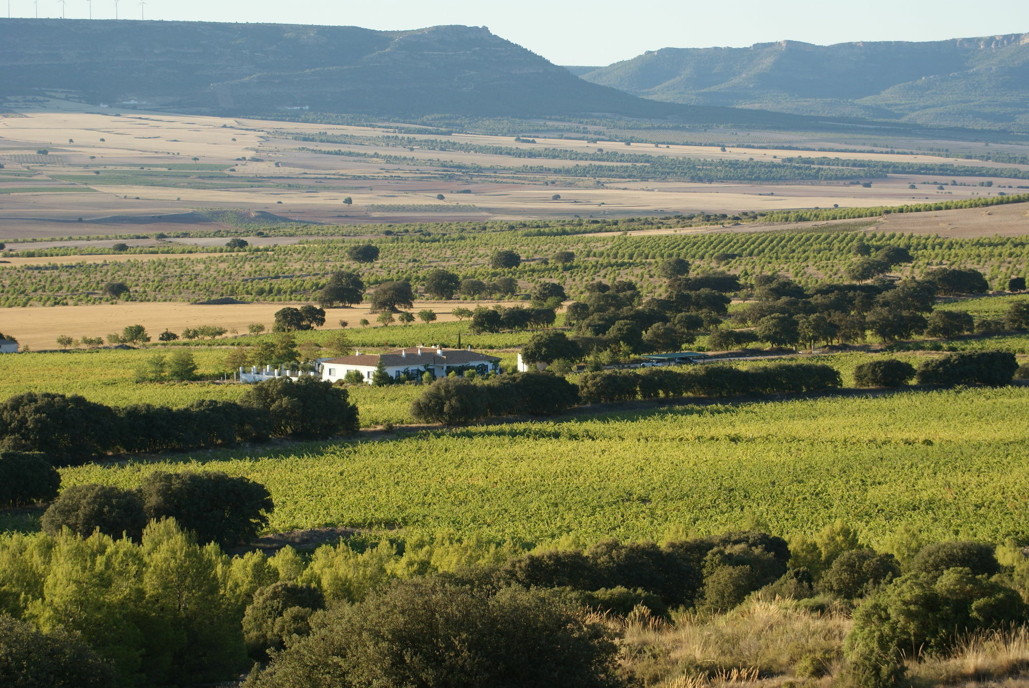 Finca El Romeral Alpera Extérieur photo