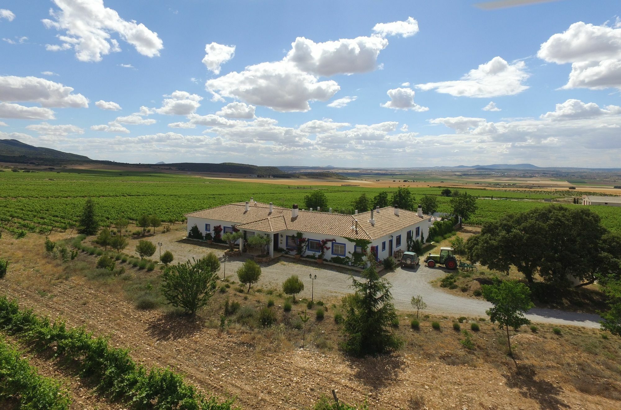 Finca El Romeral Alpera Extérieur photo